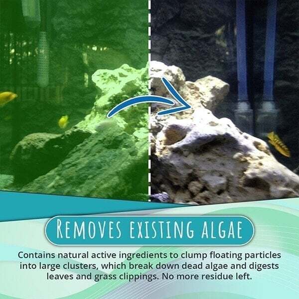 1+1 Free |  Algae Repellent Powder